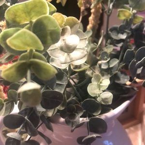 Meet your Posher, Lee